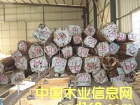 ��ľ��Ԕ��(x��)��B