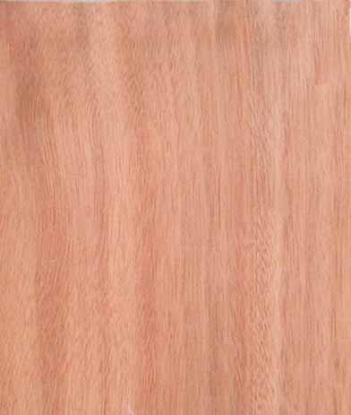 �������Ԕ����B