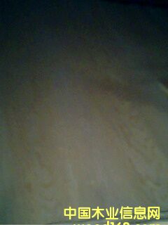 ��ľ��Ƥ��Ԕ����B