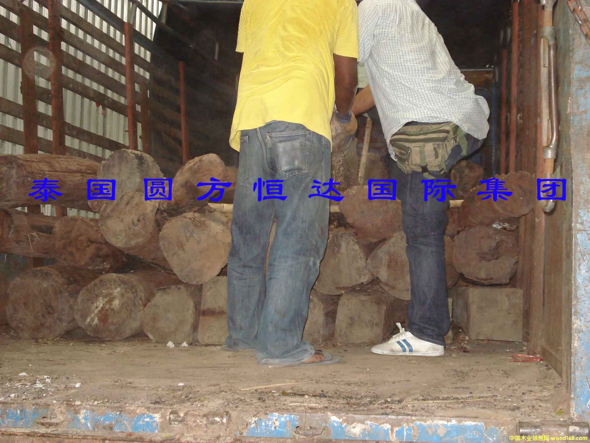 ��t��֦��Ԕ��(x��)��B