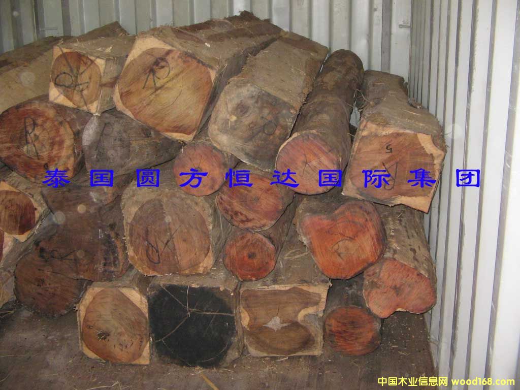 ��t��֦��Ԕ��(x��)��B