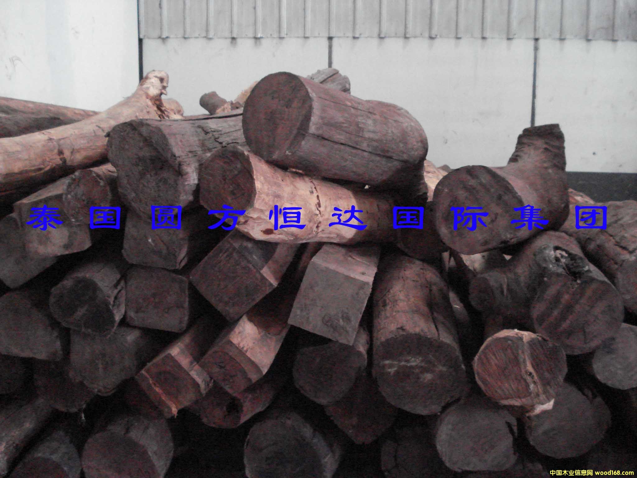 ��t��֦��Ԕ��(x��)��B