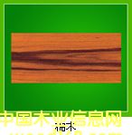 ��ľ��Ԕ��(x��)��B