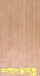 �P(y��ng)ľ-��ľ-ˮ�����ΰ��Ԕ��(x��)��B