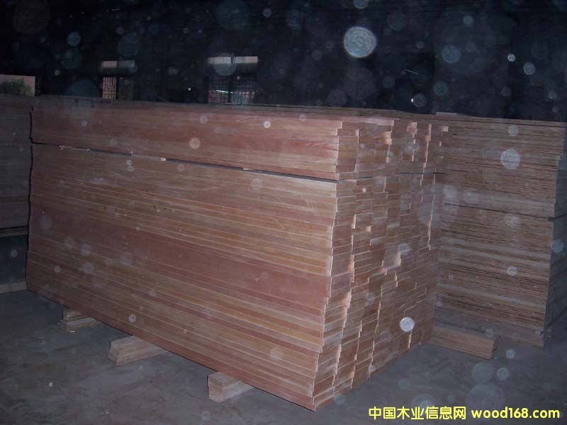 ��ĸ��Ԕ��(x��)��B