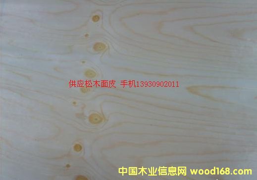 ��ľƤ��Ԕ��(x��)��B