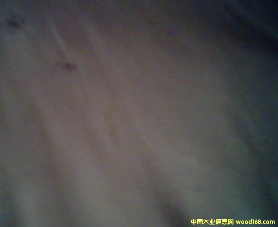 ��ľƤ��Ԕ��(x��)��B