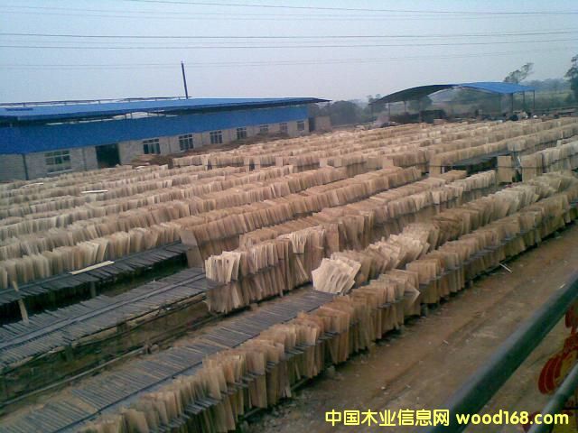 ��ľ�ΰ��Ԕ����B