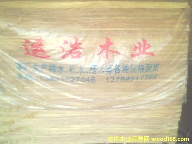 ��ľƤ��Ԕ��(x��)��B