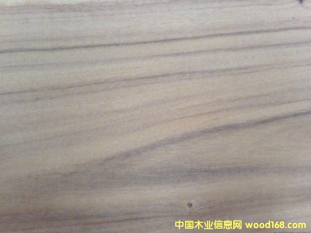 ����ľ��Ԕ����B