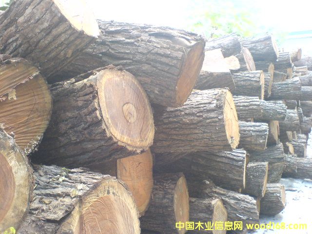 Ӳ�S̴[������֦]��Ԕ����B