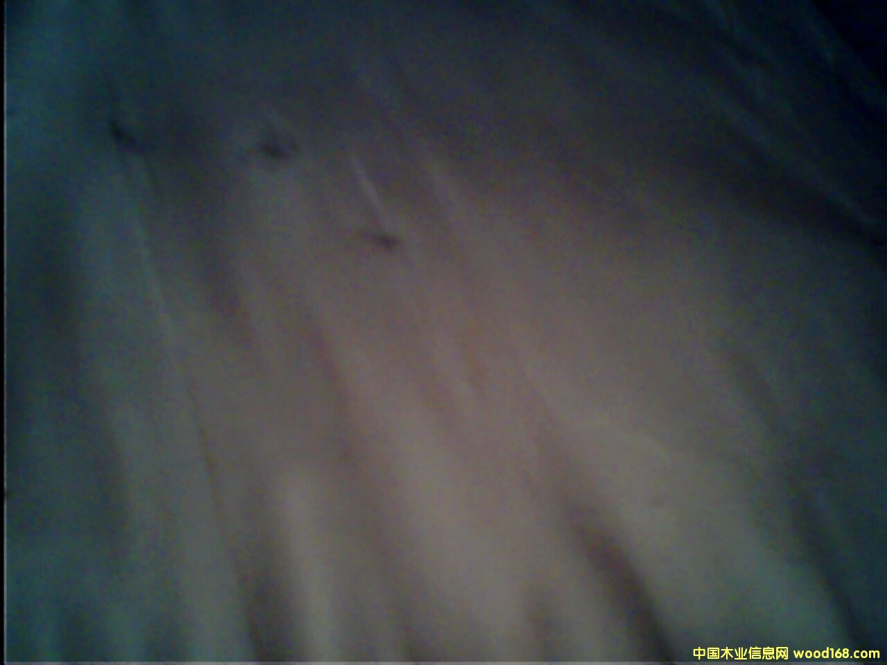 ��ľƤ��Ԕ��(x��)��B