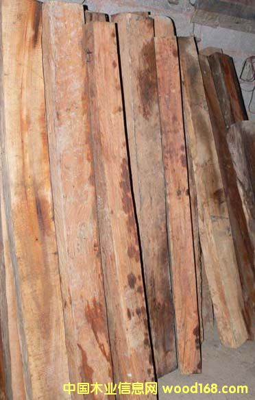 ��ľ��Ԕ��(x��)��B