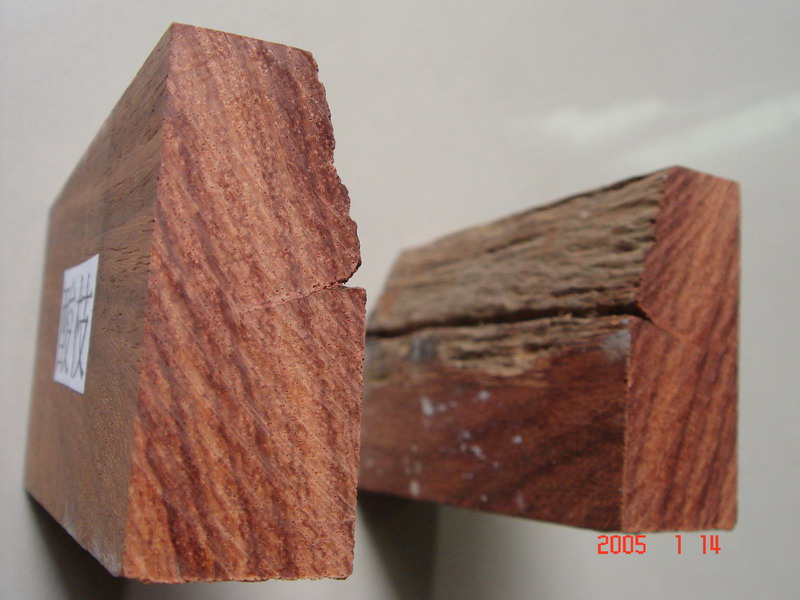 ������֦ľ��Ԕ��(x��)��B