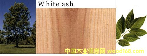 ����ˮ������Ԕ��(x��)��B