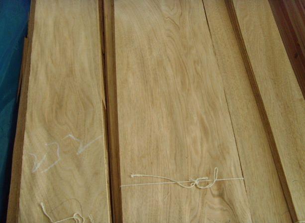 �ľľƤ��Ԕ��(x��)��B