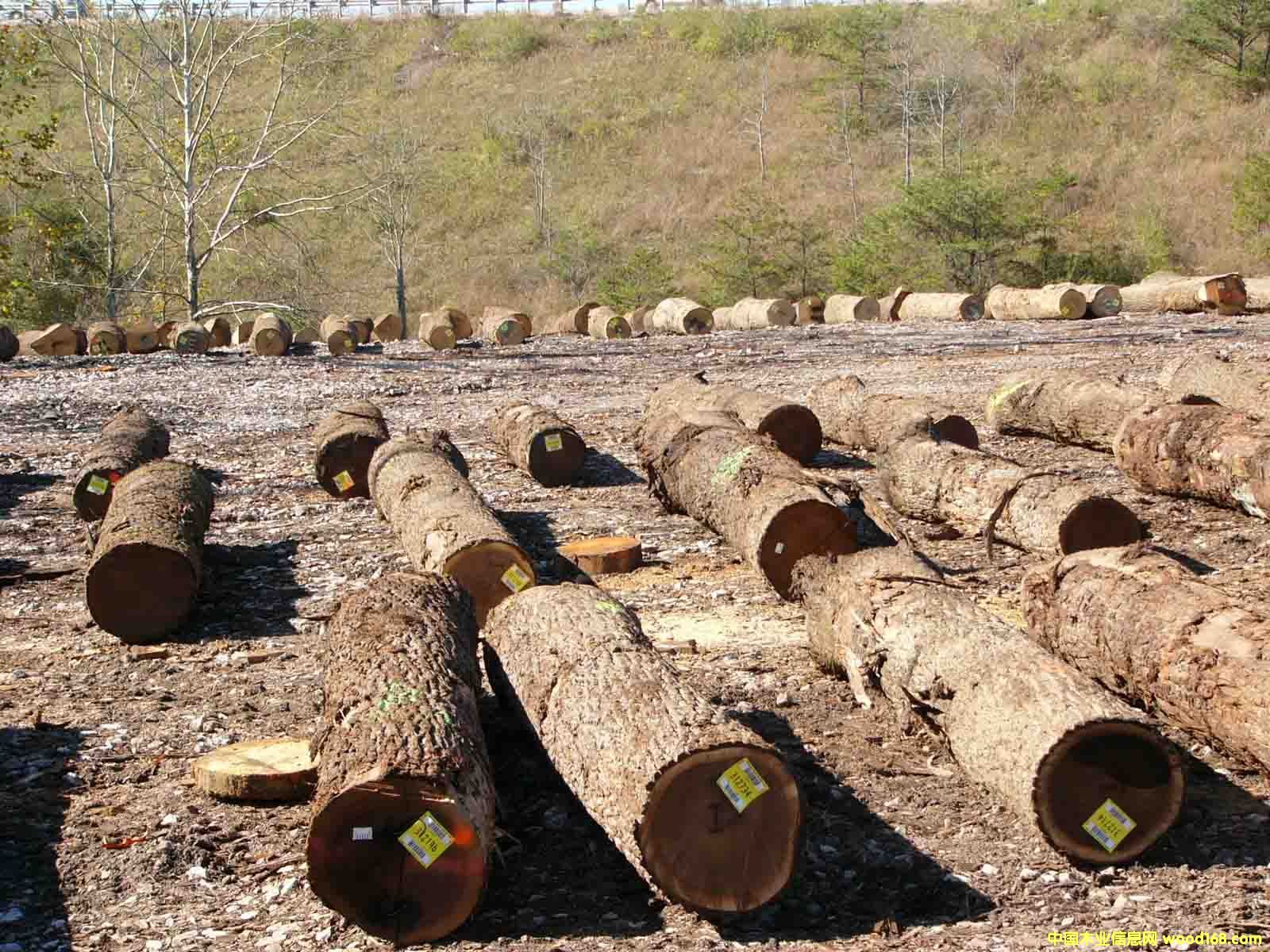 �ں��ҵ�Ԕ��(x��)��B