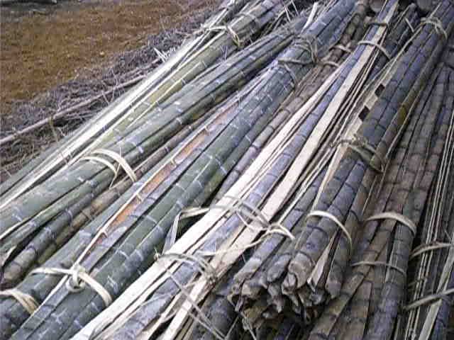 ��Ƭ��Ԕ��(x��)��B