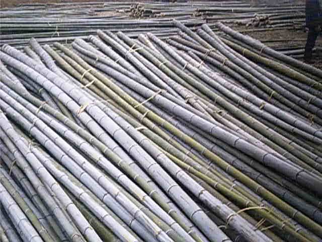 ����Ԕ��(x��)��B