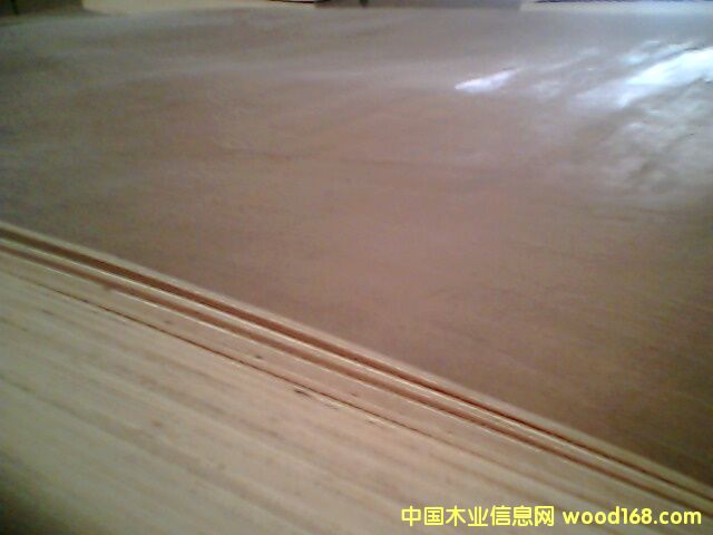 �һ�о����ϰ��Ԕ��(x��)��B