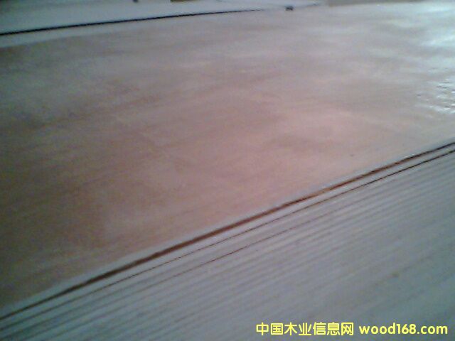 �һ�о���z�ϰ��Ԕ��(x��)��B