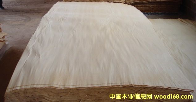 ��ľ���а��Ԕ��(x��)��B