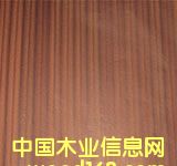 ɳ������ɫ������