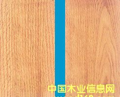 �t���Ԕ����B