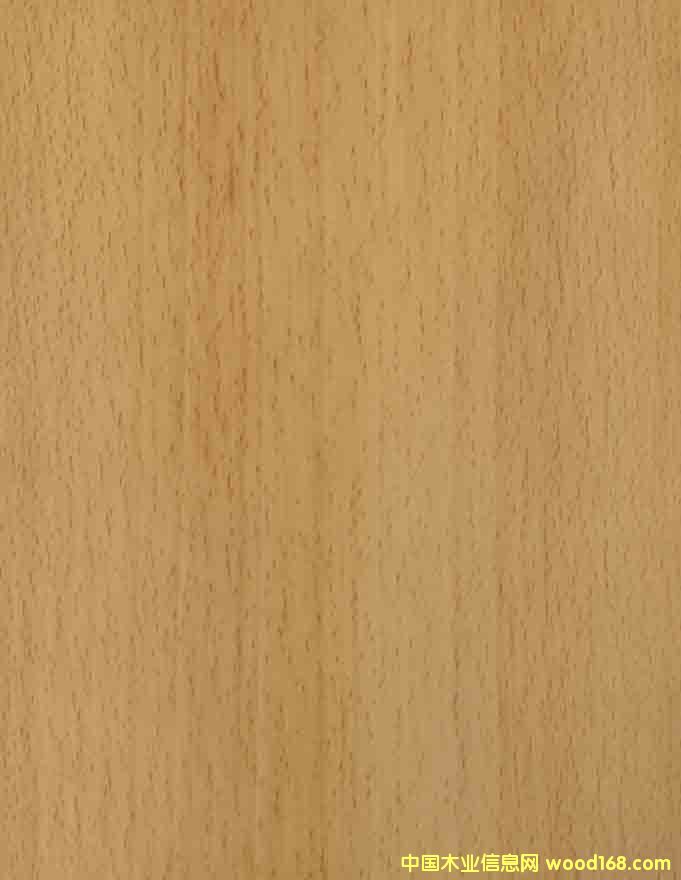 �t�ε�Ԕ����B