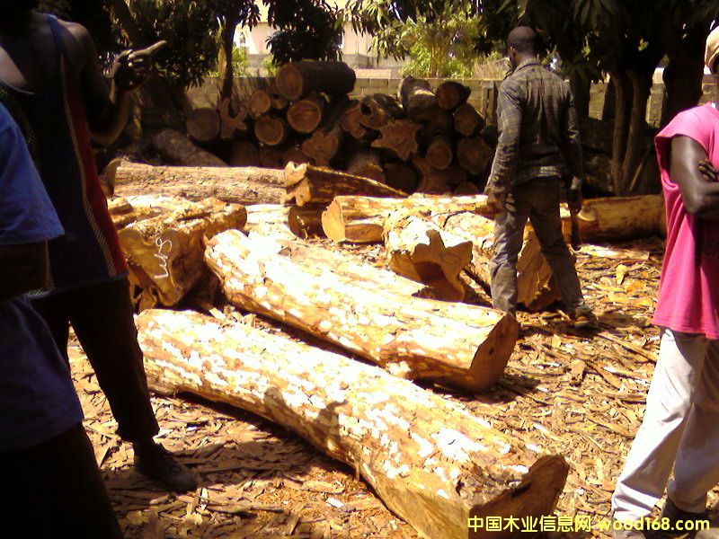 ԭľ2��Ԕ����B