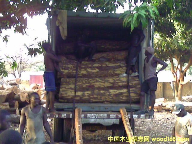 ԭľ��Ԕ����B