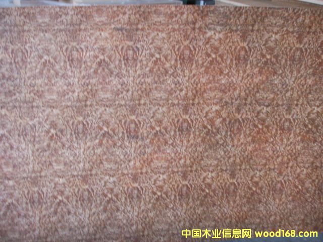 �����N����Ԕ����B