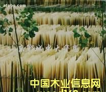 �п����o(w��)���ΰ��Ԕ��(x��)��B