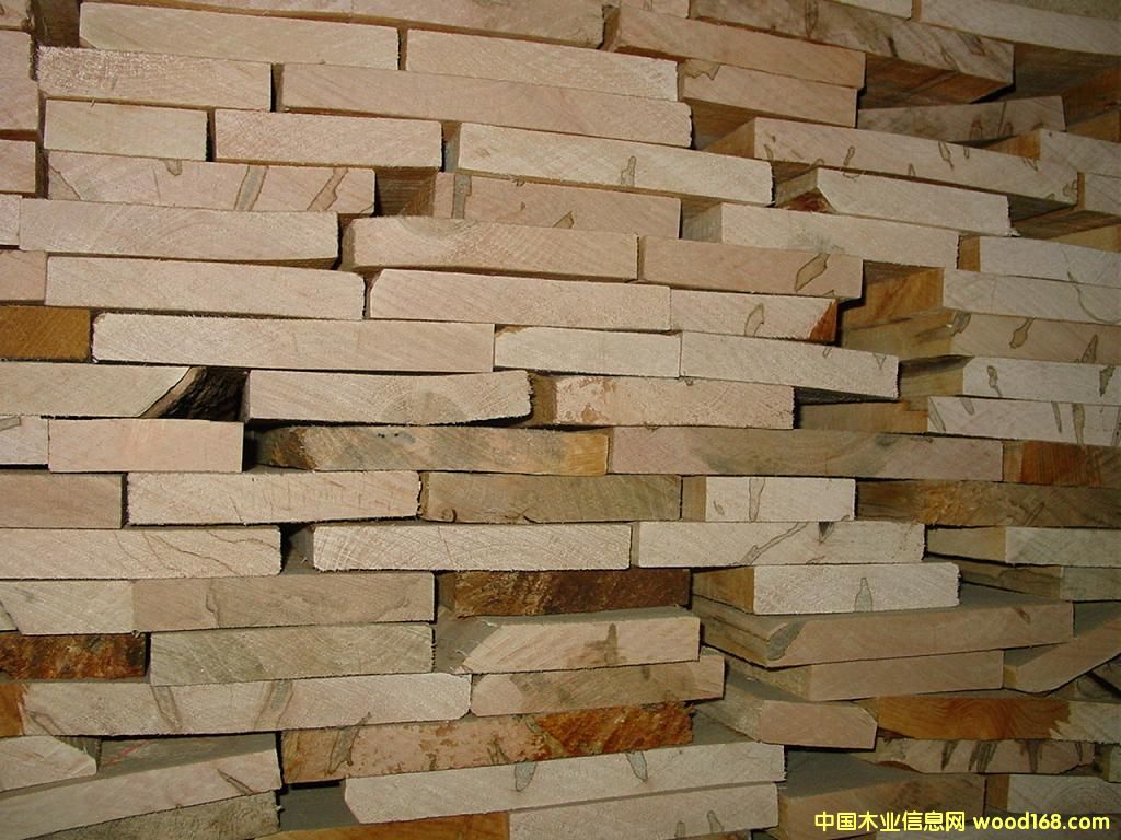 ��ľ6��Ԕ����B