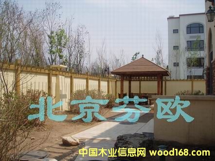 ̼��ľ��Ԕ��(x��)��B