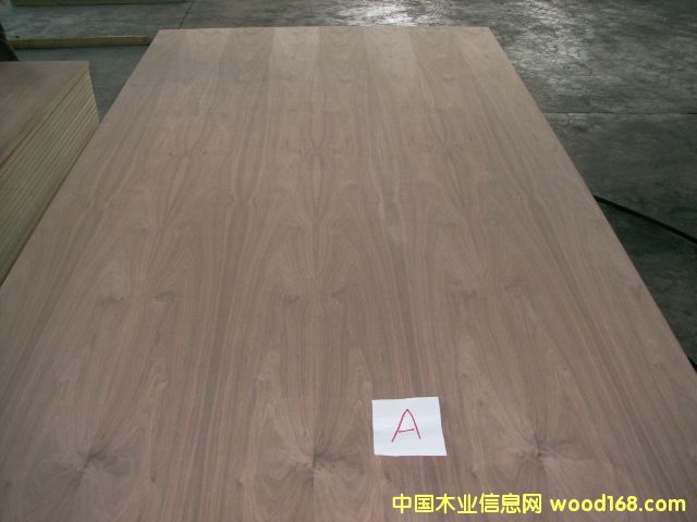 ��ľ�����p�N�ں��ҵ�Ԕ��(x��)��B