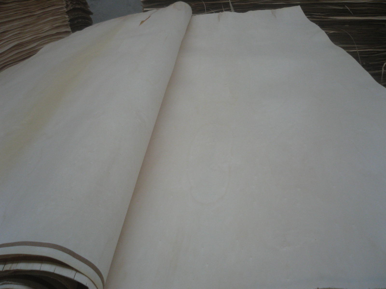 ��ľ������Ƥ��Ԕ��(x��)��B