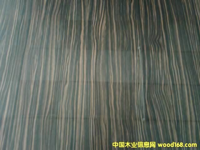 ����������Ԕ����B