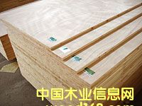 ��(x��)ľ�����Ԕ��(x��)��B