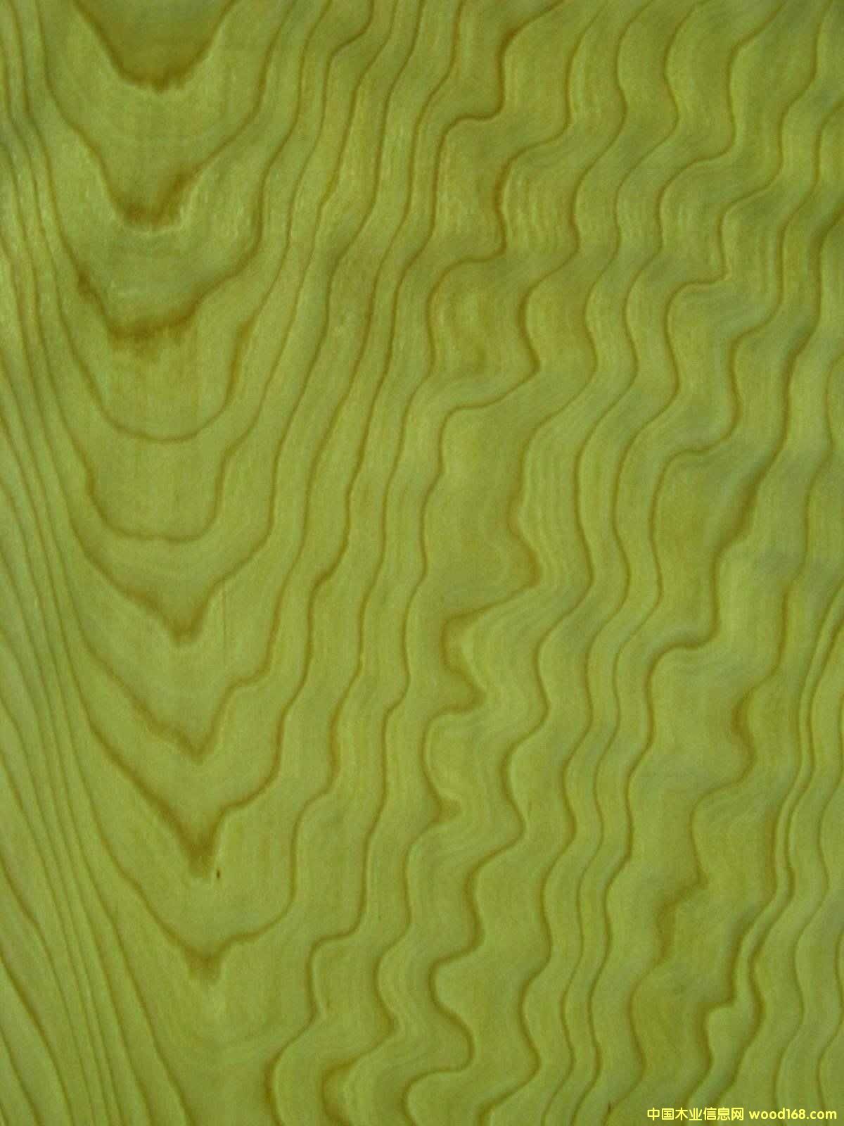 ��ľľƤ��Ԕ����B