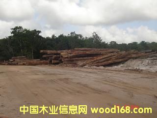 �Fľ��ԭľ��Ԕ��(x��)��B