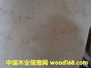 ��ľȸ��ľƤ��Ԕ����B