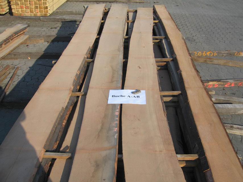 ���M(j��n)�ڙ�ľ��ĵ�Ԕ��(x��)��B