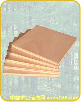 ��ľ�����Ԕ����B