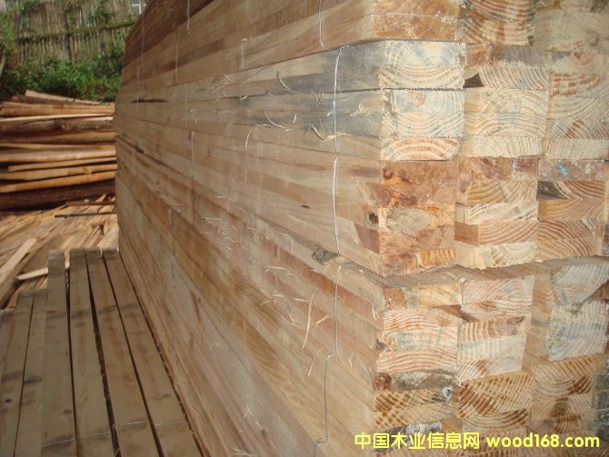 5��Ԕ��(x��)��B