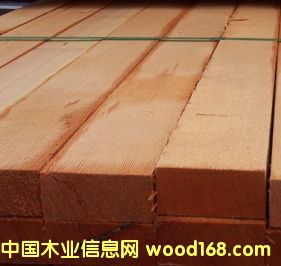 9��Ԕ��(x��)��B