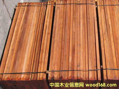 11��Ԕ��(x��)��B