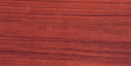 �����Kľ��Ԕ��(x��)��B