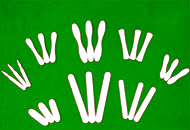 ѩ�l����Ԕ����B