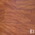 ����ľ��Ԕ��(x��)��B